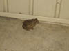 Family/07152006_005.jpg (36831 bytes)