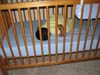 Family/07162006_001.jpg (91066 bytes)