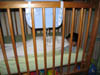 Family/20070205_001.jpg (83961 bytes)