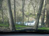 Family/20070421_001.jpg (109173 bytes)