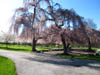 Family/20070421_011.jpg (133452 bytes)