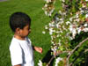 Family/20070421_013.jpg (130363 bytes)