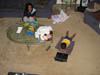 Family/20070916_001.jpg (72010 bytes)